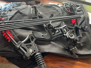 复合弓空放后价格飙升的原因是什么？