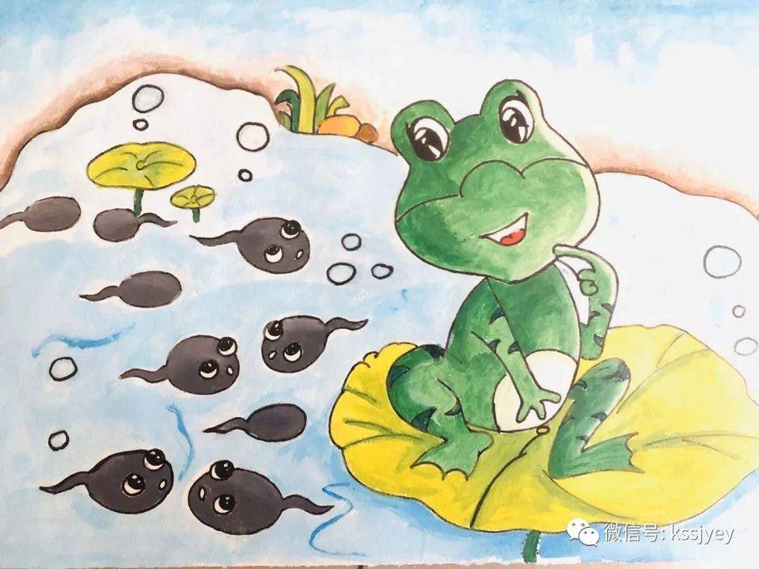 小蝌蚪找妈妈故事在线_小蝌蚪找妈妈故事视频带汉字_兔小贝小蝌蚪找妈妈的故事视频