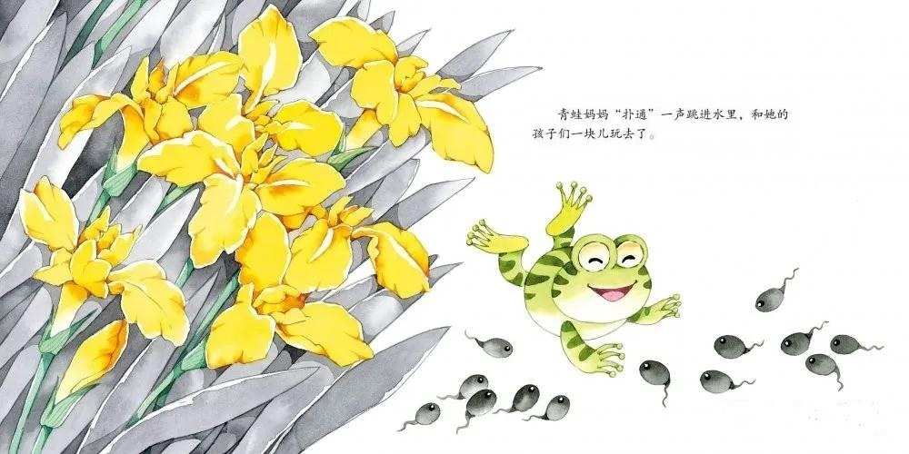 小蝌蚪找妈妈故事视频带汉字_小蝌蚪找妈妈故事在线_兔小贝小蝌蚪找妈妈的故事视频