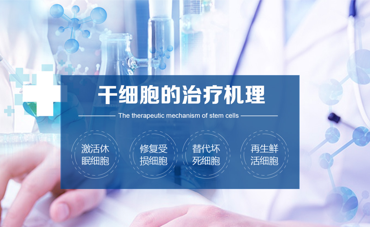 微整打的干细胞是什么_微整干细胞安全吗_微整干细胞到底能不能打