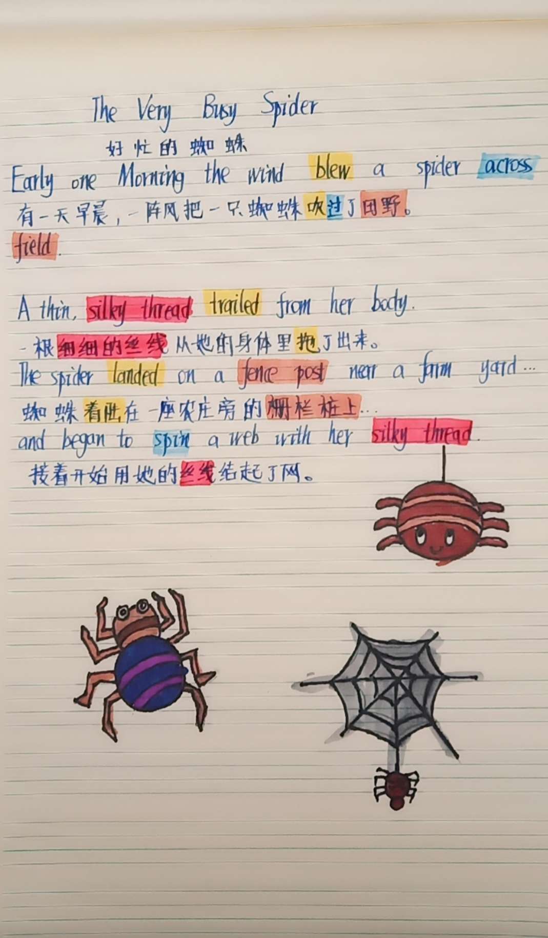 英语单词蜘蛛_蜘蛛网记忆单词_超级蜘蛛网记:6级单词