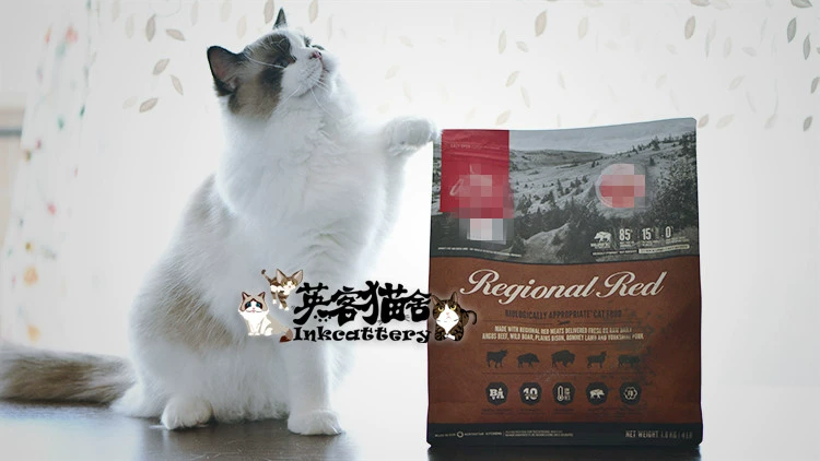 权游雷加王子_疯王和雷加_权力的游戏雷加是疯王吗