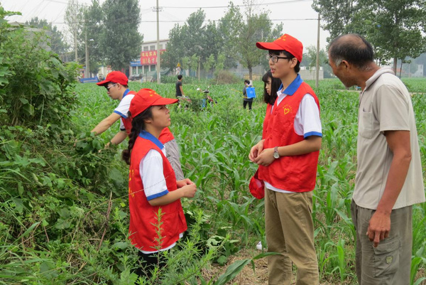 超级土地公：新技能惊艳登场！