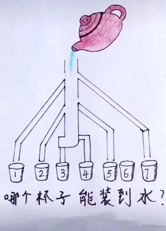 最强大脑第二季水哥视频_最强大脑第一季水哥_最强大脑水哥个人资料