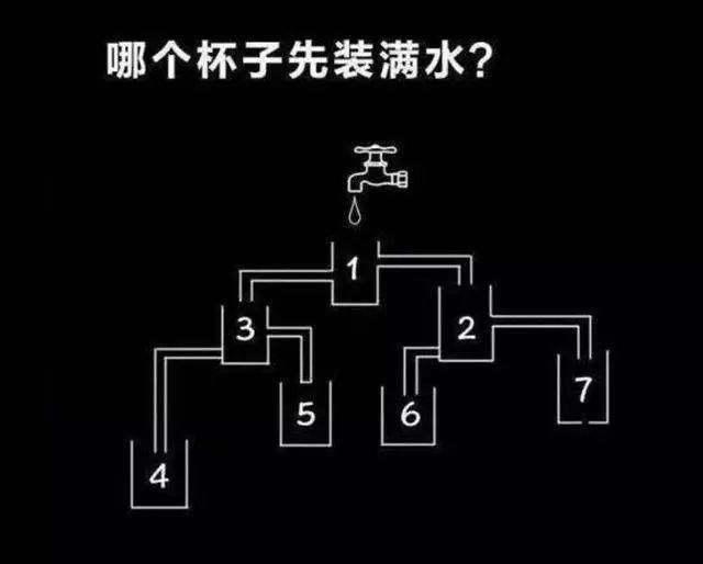 最强大脑第一季水哥_最强大脑水哥个人资料_最强大脑第二季水哥视频