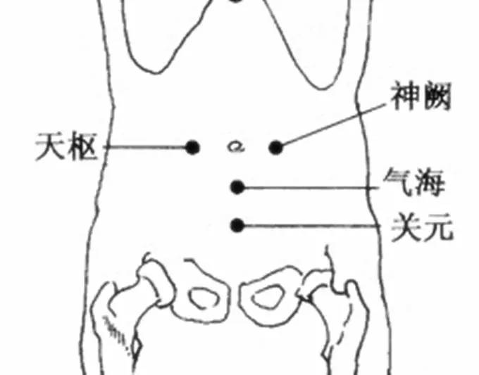 关元的准确位置图和作用大巨_大黄豆卷的作用与功效图_下关的准确位置图片