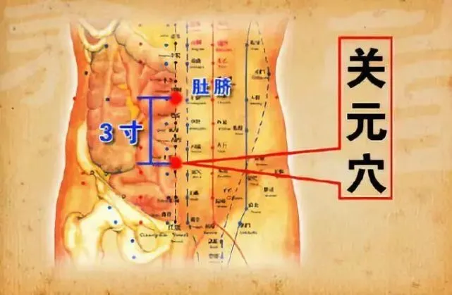 下关的准确位置图片_关元的准确位置图和作用大巨_大黄豆卷的作用与功效图