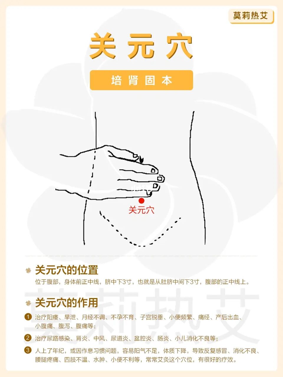 大黄豆卷的作用与功效图_下关的准确位置图片_关元的准确位置图和作用大巨