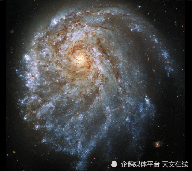 裁决者图哈特没有了_裁决者图哈特加偶数_裁决者图哈特怎么获得