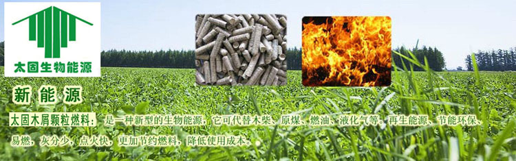 生物燃料的例子_生物燃料燃烧值_生物燃料的杀伤力 阅读答案
