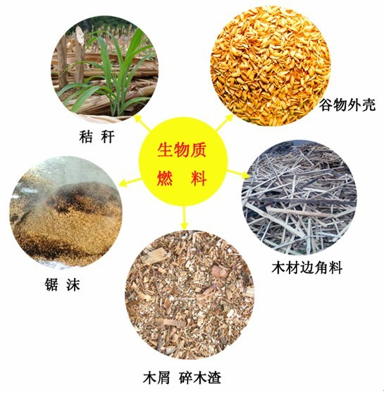 生物燃料的杀伤力 阅读答案_生物燃料的例子_生物燃料燃烧值