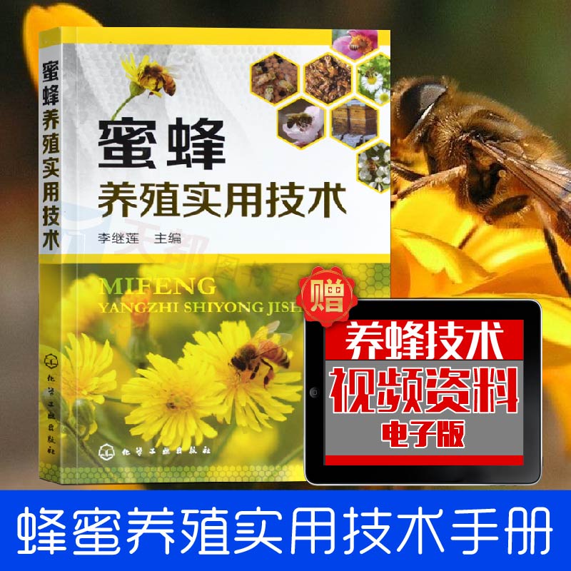 新手养蜂怎么换王视频_蜂群换王视频_中蜂养殖技术视频换王