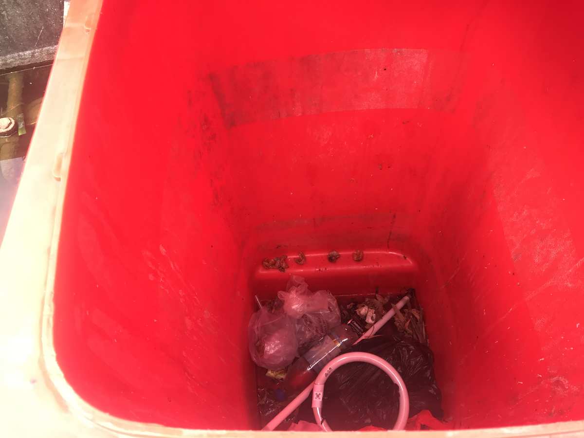 看图写话把垃圾扔到垃圾桶_一年级扔垃圾看图写话_看图写话扔垃圾分类