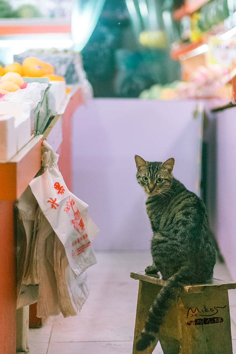 开天猫商城开店条件，你也想试试电商平台吗？
