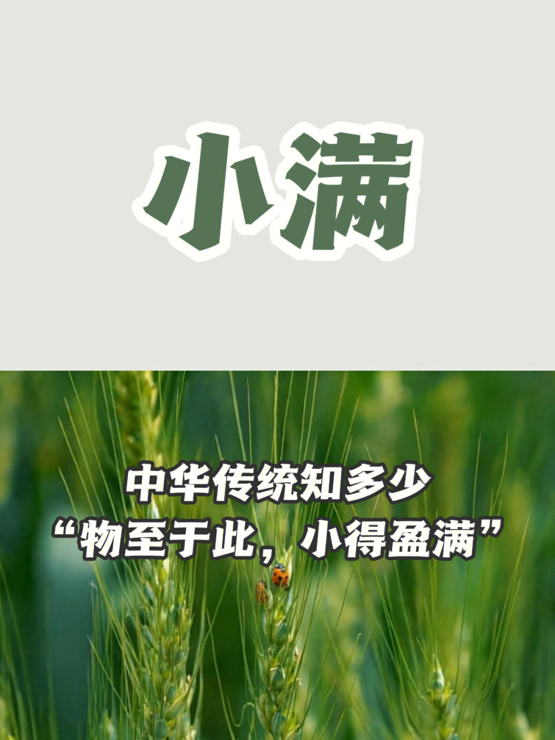 度小满打电话给我_度小满会给家人打电话吗_小满度电话打家会人知道吗