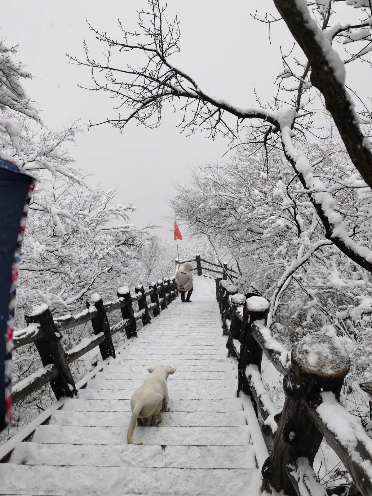 冷冽谷的舞娘弱什么属性_冷冽谷的舞娘_冷冽谷的舞娘能招npc吗