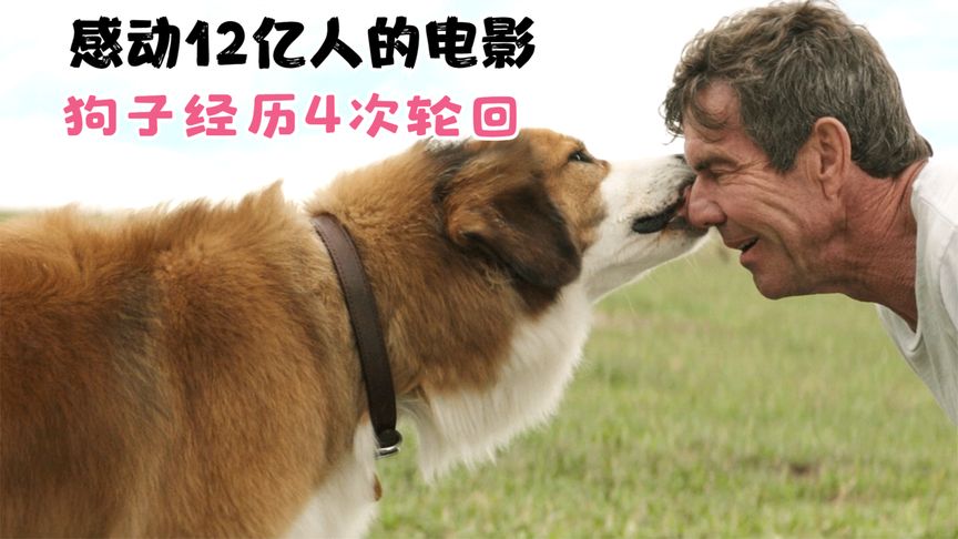 影视大全下载中心_影视大全0.7版本下载_快狗影视大全下载