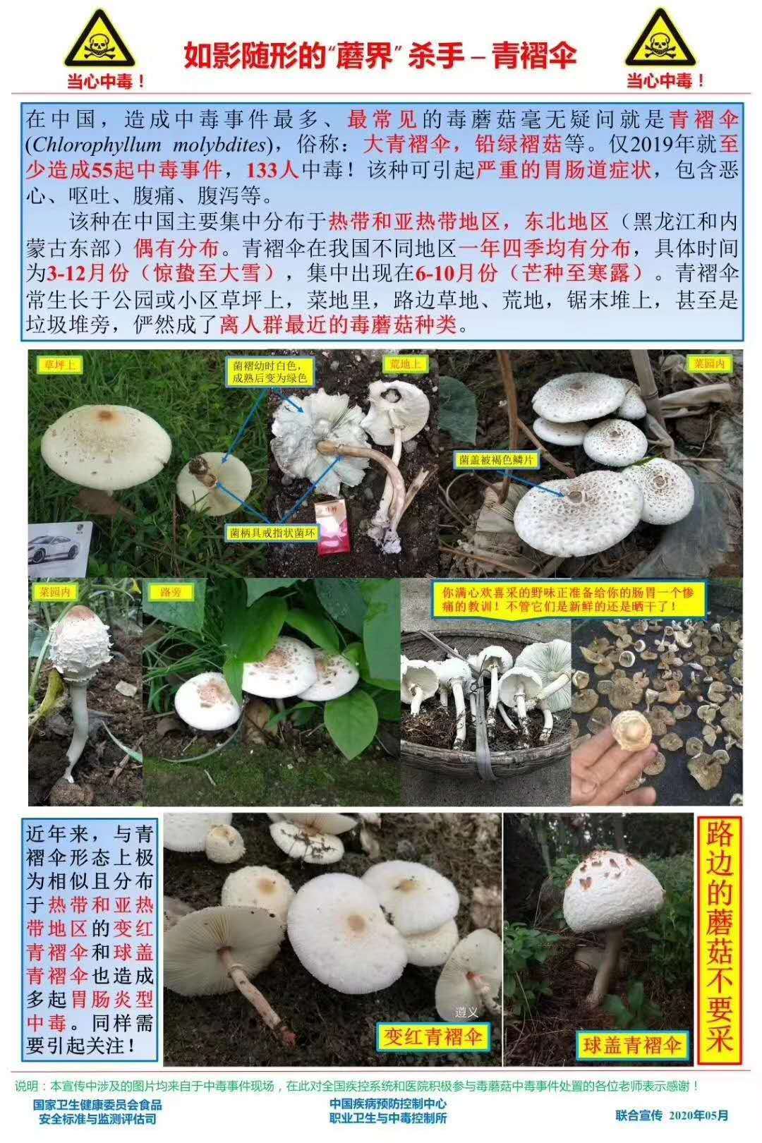 蘑菇毒素检测方法_毒蘑菇性能测试入口_蘑菇检测有毒或无毒用什么仪器