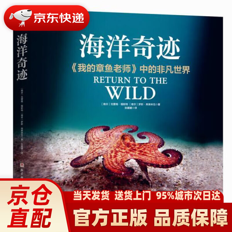 绿剑口香糖_绿剑_赵坡绿剑