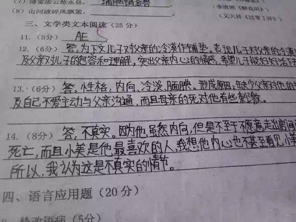 丽升阅卷系统_丽升阅卷系统官网_丽升阅卷系统app