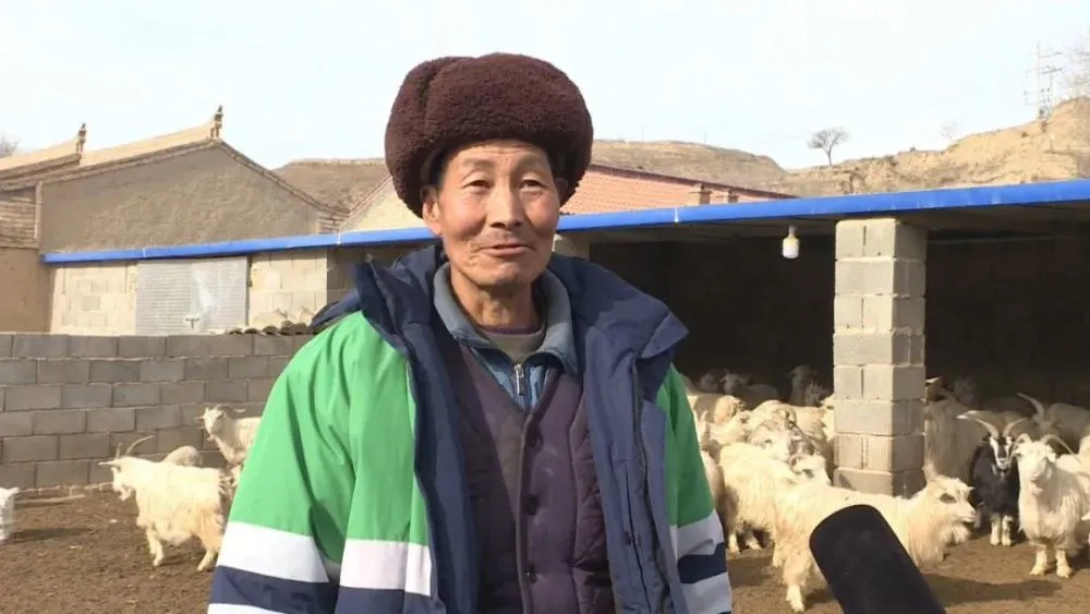羊村大崩坏怎么_羊村大崩坏_崩坏的羊村解说视频
