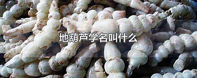 葫芦侠修改器下载_葫芦侠修改器的用法_葫芦侠修改器免费