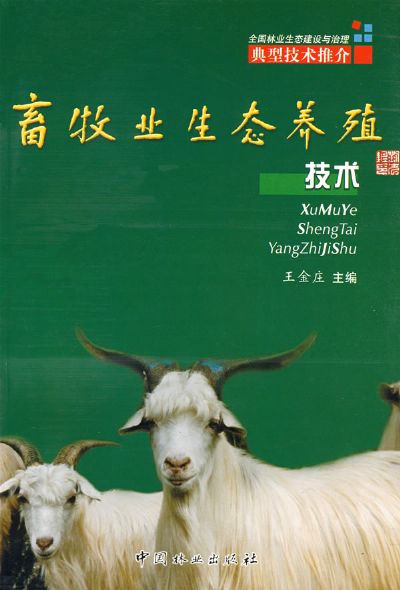 世界经验修补怎么用_我的世界经验修补怎么获得_经验修补机制