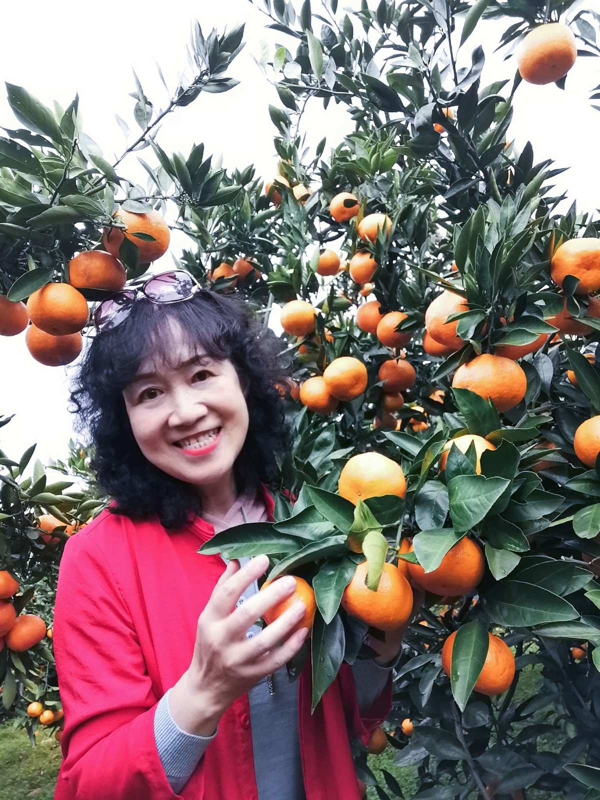 橘子娱乐旗下艺人_橘子娱乐招聘_橘子娱乐