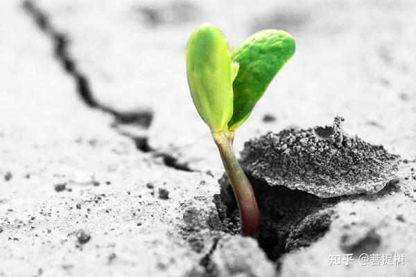 背水_背水一战_背水一战是什么意思