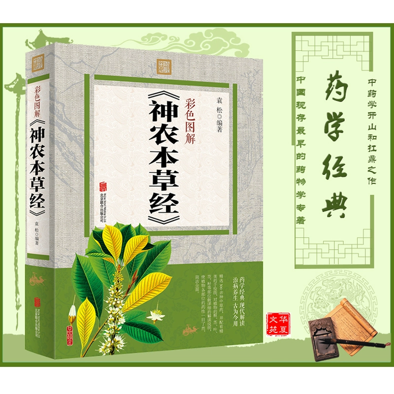 仙道医生免费全本_仙道医生百度百科_仙道医生