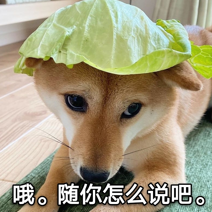 狗狗搞笑图片表情包_狗狗搞笑表情图片包下载_狗狗表情包图片搞笑
