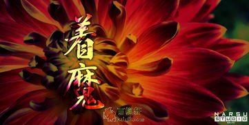 以撒的结合忏悔_以撒的结合忏悔_以撒的结合忏悔