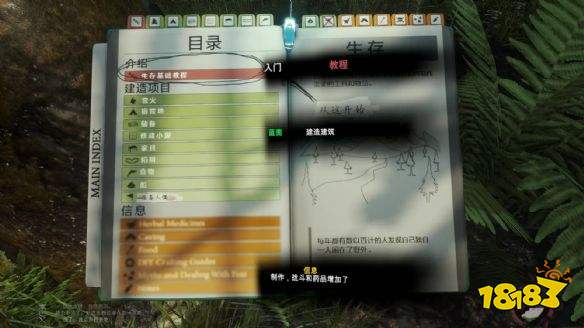 森林作弊码_作弊码森林怎么输入_作弊码森林队友能用吗