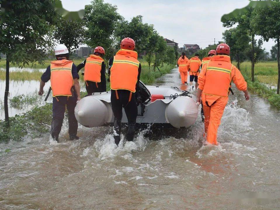 春雨惊春清谷天的春_春雨惊春清谷天是什么诗_新惊天动地