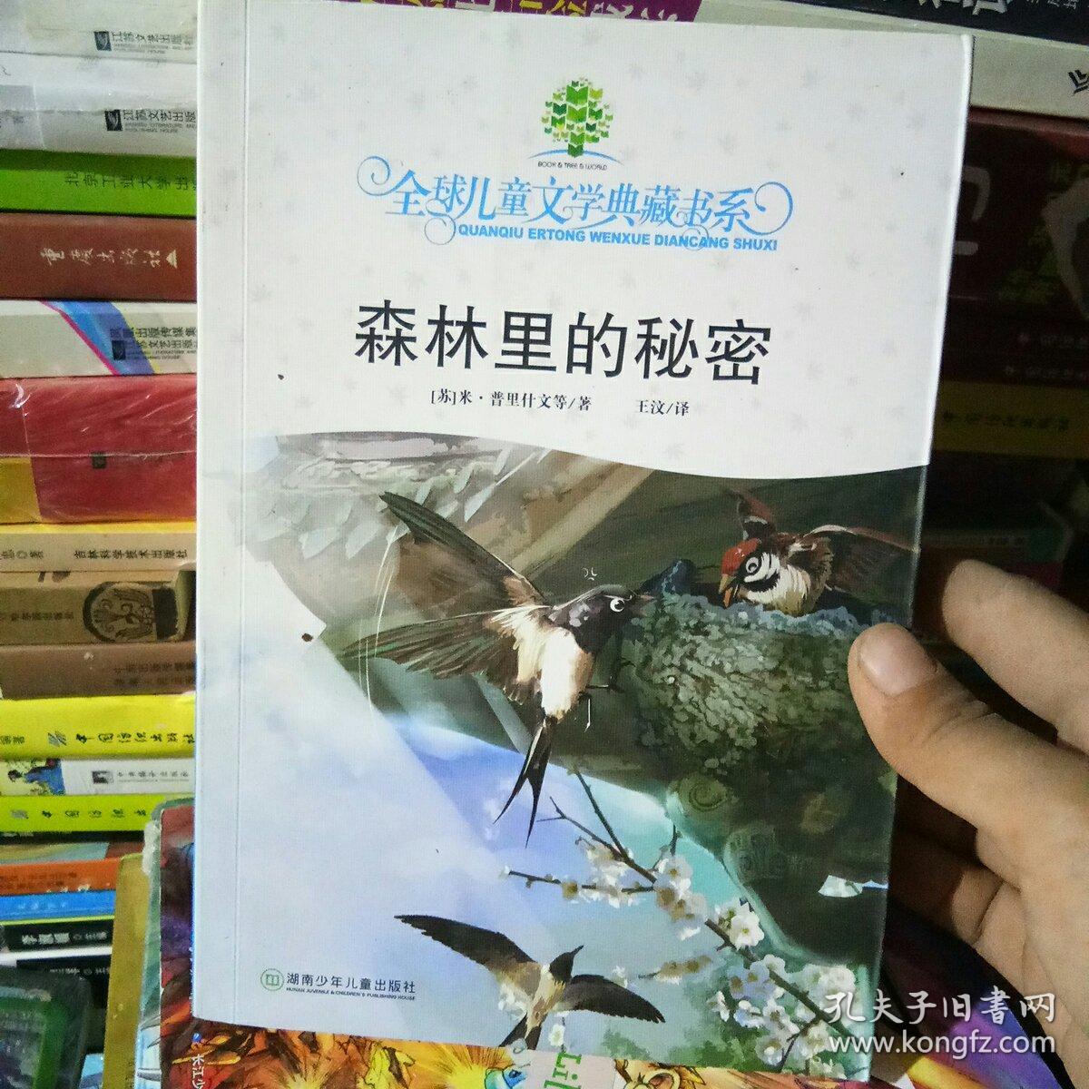 星露谷秘密森林_星露谷森林的秘密屋在哪_星露谷秘密森林剧情触发