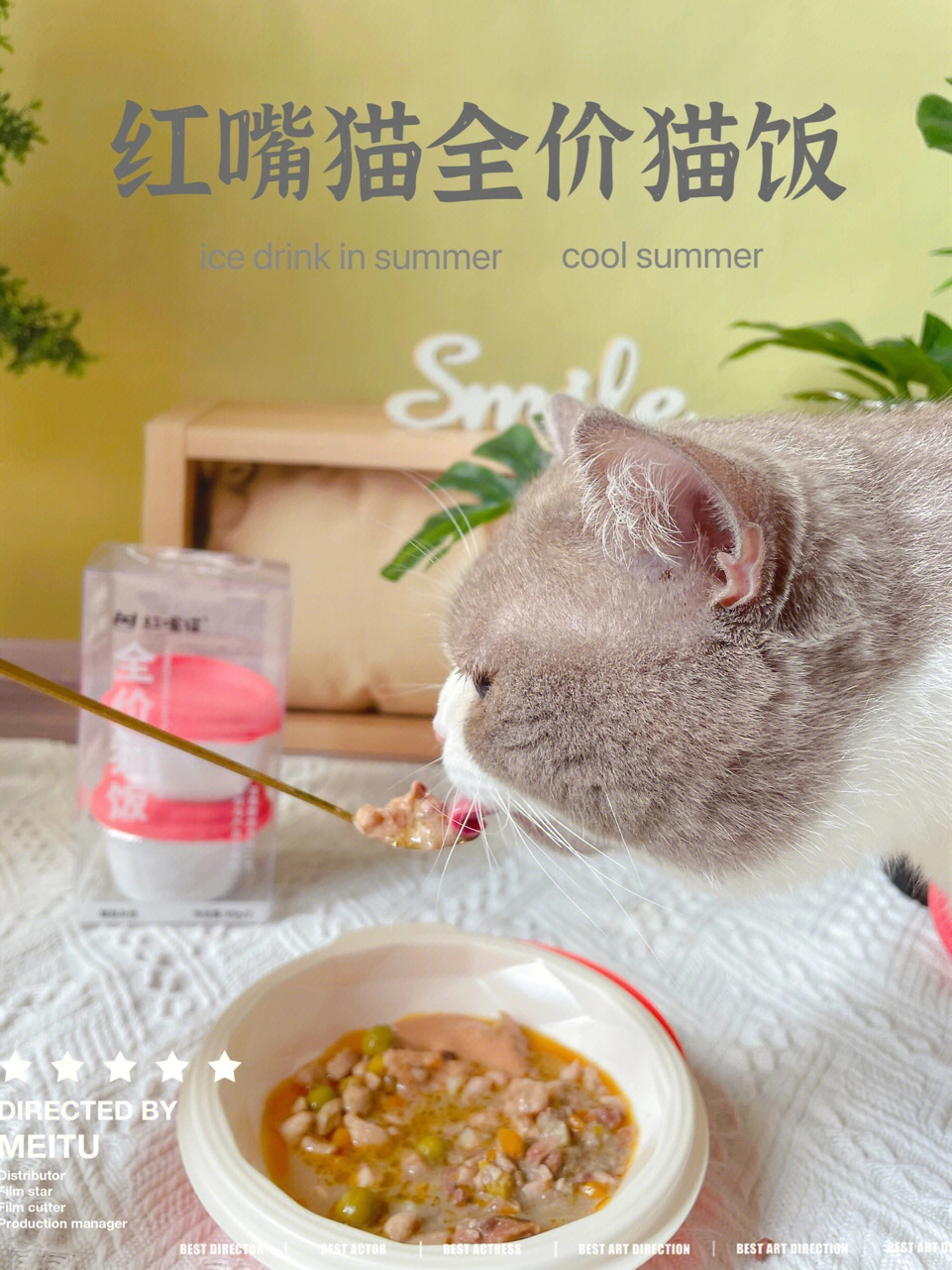 遇见你的猫烹饪菜谱_遇见你的猫烹饪菜谱_遇见你的猫烹饪菜谱