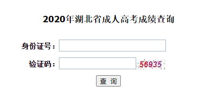 高考成绩查询系统官网_高考成绩查询登录_高考成绩查询系统入口官网2020