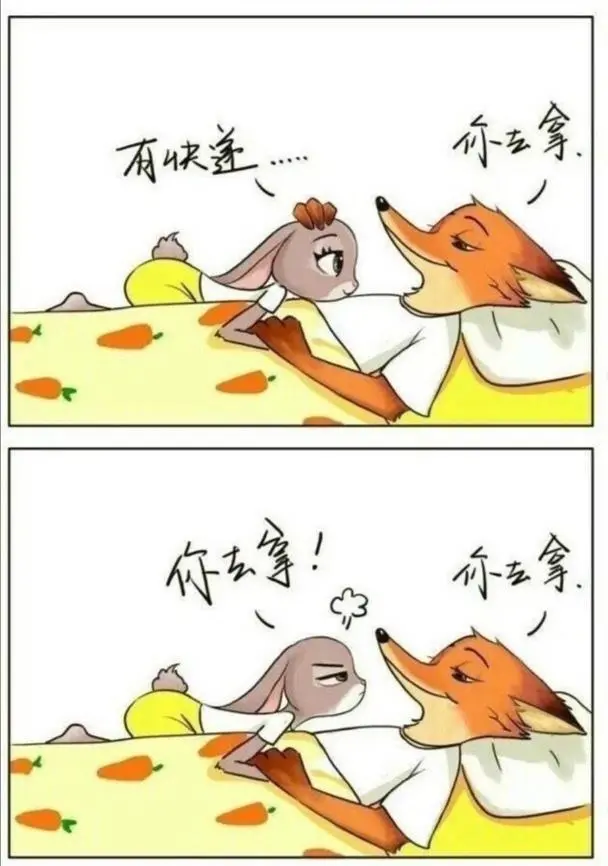 朱迪攻略_攻略朱迪需要什么条件_攻略朱迪选项