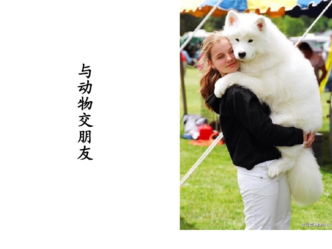 动品网乒乓球胶皮_动品网乒乓用品商城_动品网