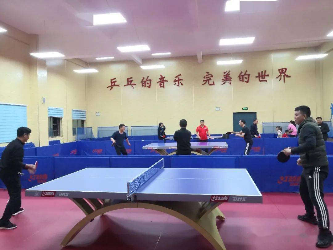 乒乓球大师中文破解版_乒乓球大师手机游戏下载_乒乓球大师软件