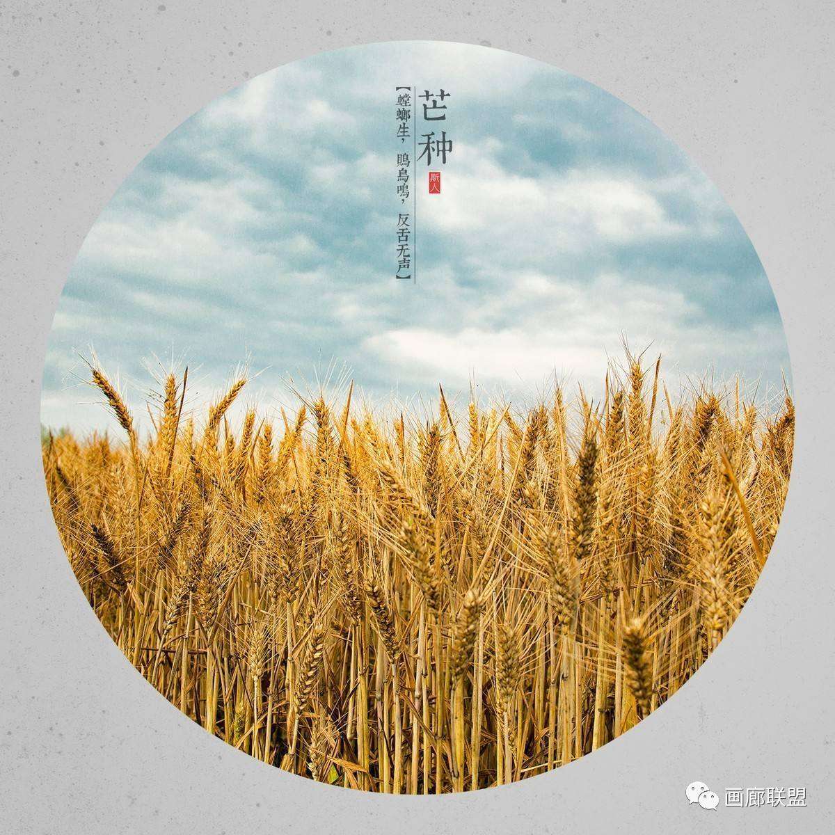 芒种来历简短_芒种的由来_芒种的由来和传说故事