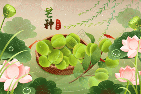 芒种来历简短_芒种的由来_芒种的由来和传说故事