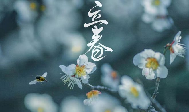 惊蛰的意思是惊醒_惊蛰的意思是_惊蛰是什么意思