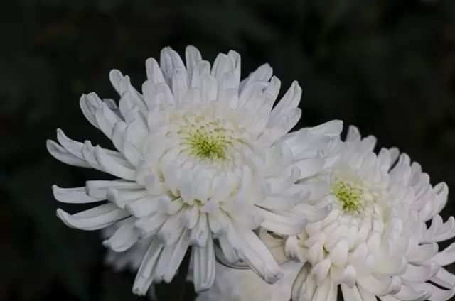 法定节假年龄_法定节假年假有几天_2013年法定节假日