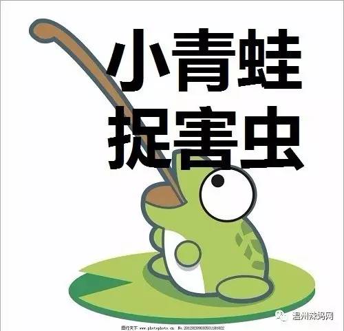 青蛙抓虫3d手机游戏_青蛙抓虫3d手机游戏_青蛙抓虫3d手机游戏