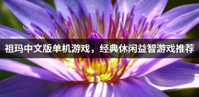 手机游戏后缀格式_手机游戏汉化软件_手机h游戏在