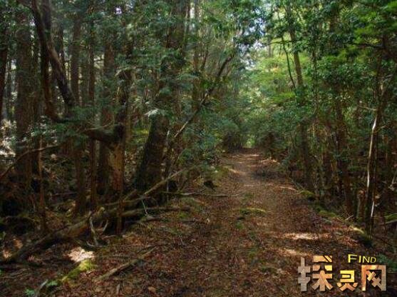 手机大作恐怖游戏_恐怖手机大型游戏_恐怖手机游戏app