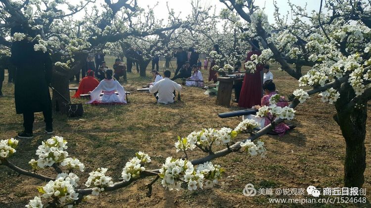 冥蝶_冥蝶武魂魂技_冥蝶骑士利剑