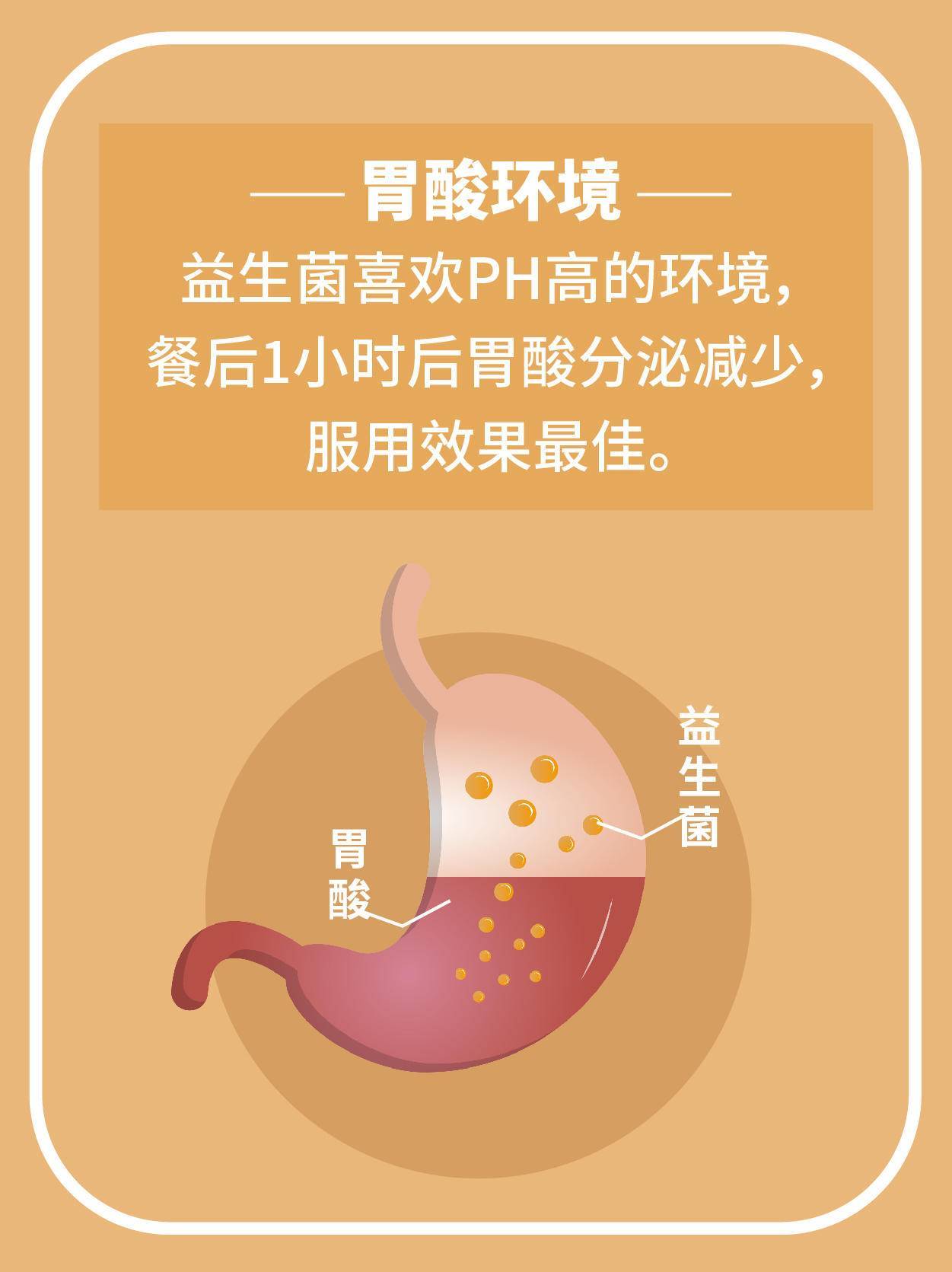 手机肠道益生菌游戏_肠道益生菌的用法_肠道益生菌功能主治