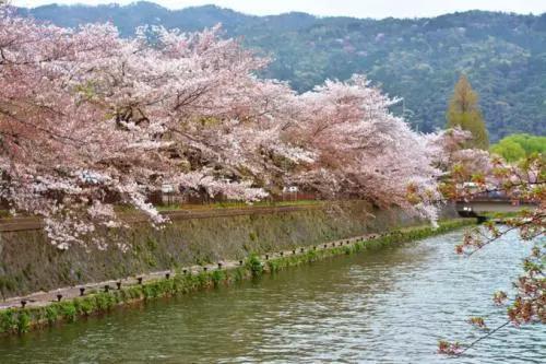 河濑川_河濑川_河濑川